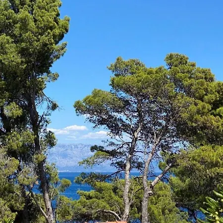 Dari - 120 M From Sea * Jelsa (Hvar)