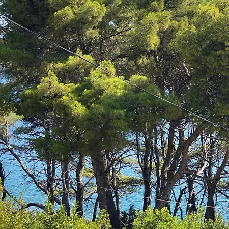 Apartamento Dari - 120 M From Sea Jelsa (Hvar)
