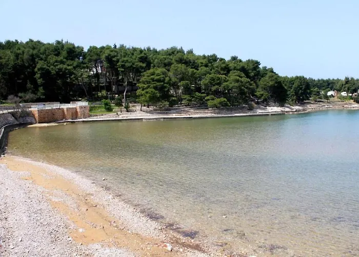 Apartment Dari Jelsa (Hvar)