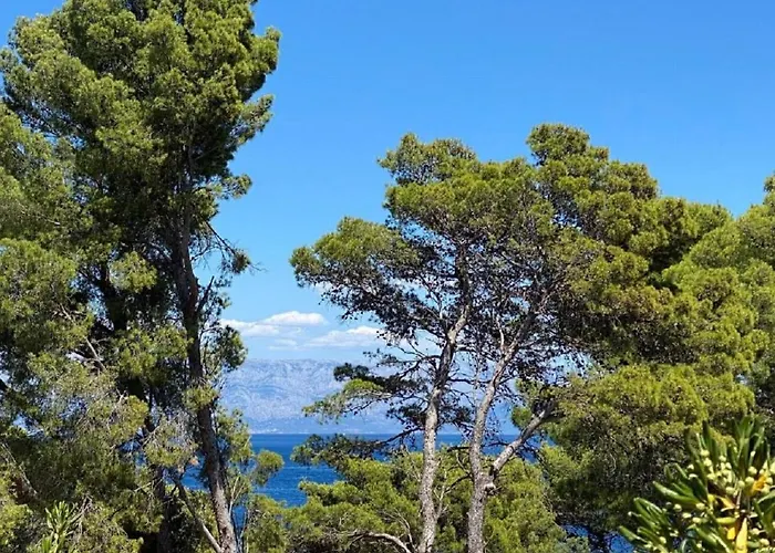 Dari * Jelsa (Hvar)